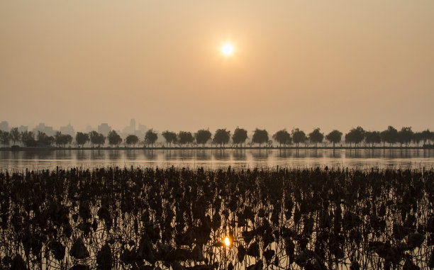 浙江省杭州西湖图片下载