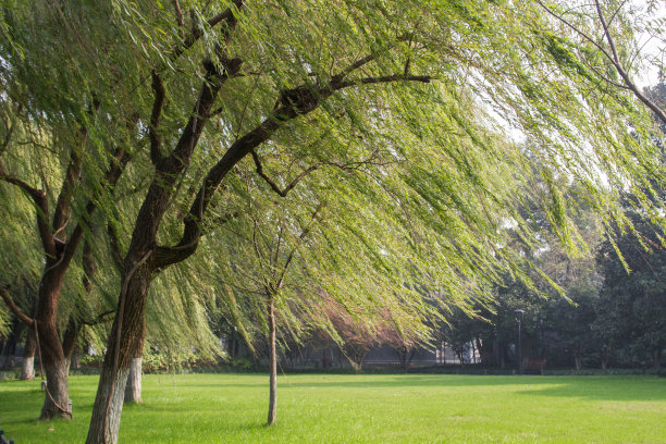 浙江省杭州西湖图片下载