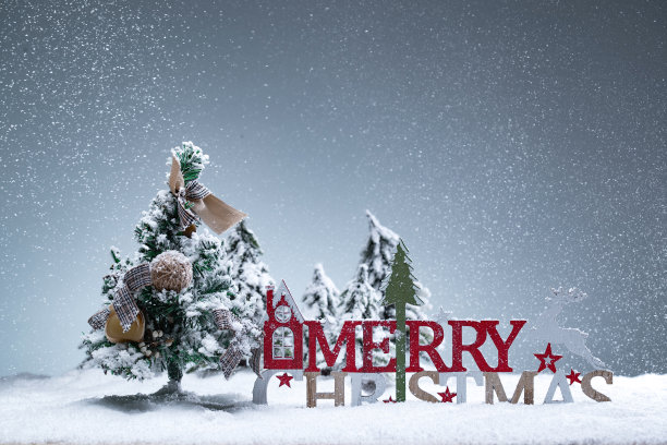 雪中的圣诞树图片下载