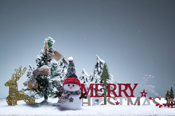 圣诞静物图片下载