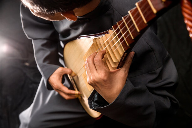 男艺术家在弹琵琶图片下载