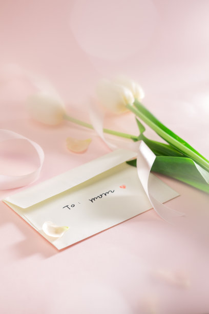 郁金香图片下载