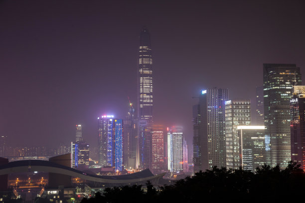 广东省深圳莲花山夜景图片下载
