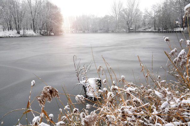 雪中的冰冻的湖面图片下载