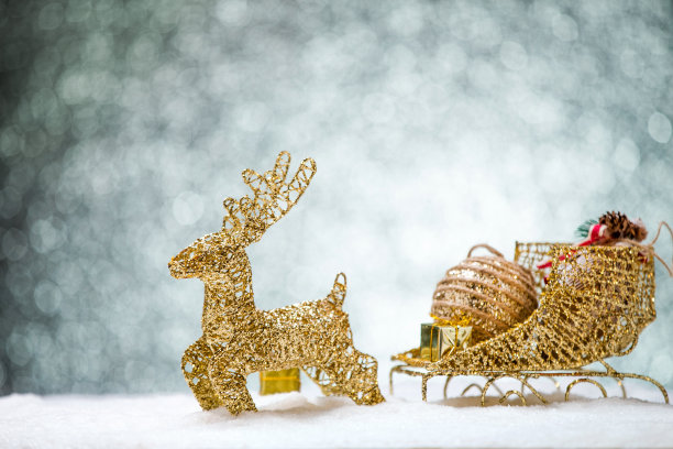 圣诞节静物图片下载