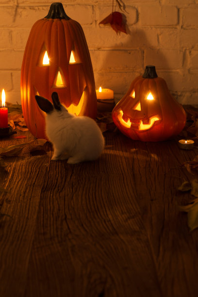 南瓜灯图片下载