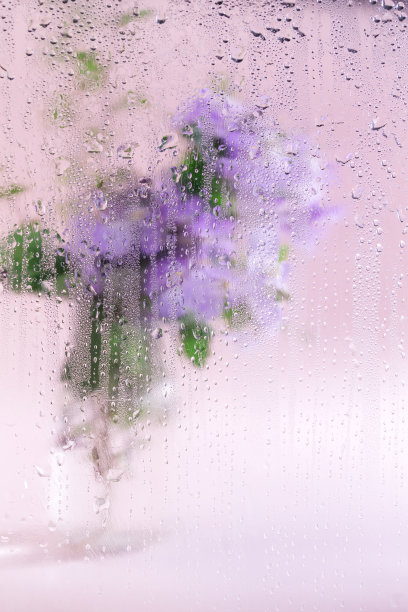 母亲节静物图片下载