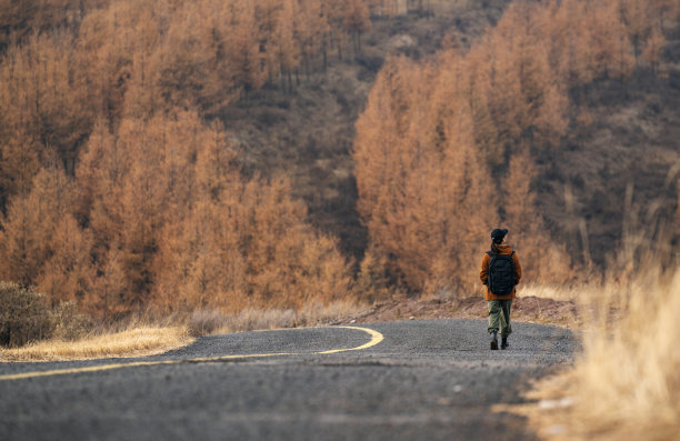 年轻女子户外徒步旅行的背影图片下载