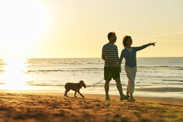 老年夫妇在海边散步图片下载