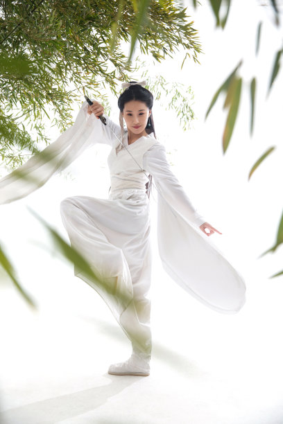 江湖侠女图片下载