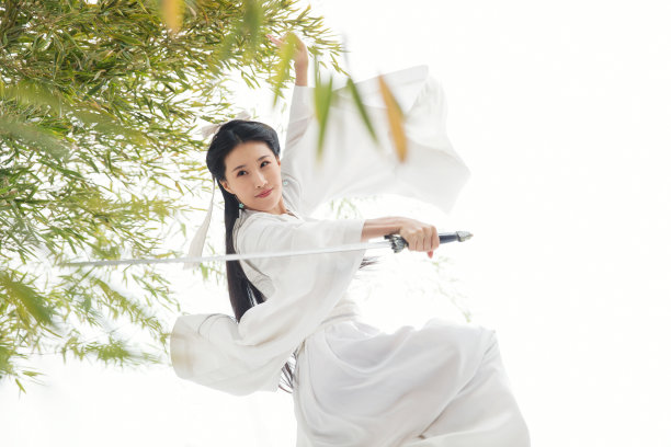 江湖侠女图片下载