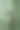端午节照片素材ID：417176808