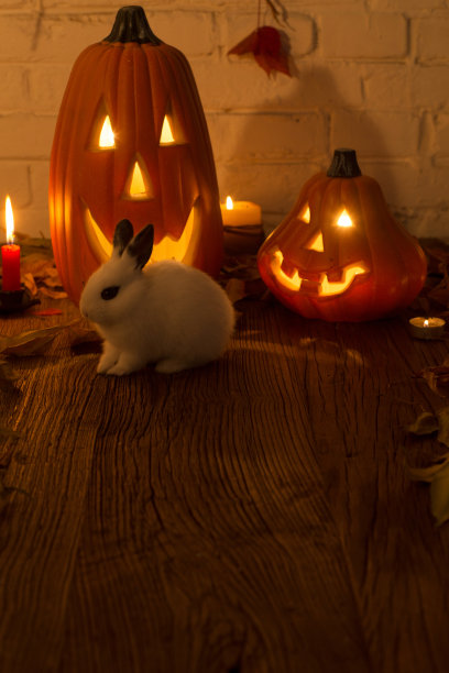 南瓜灯图片下载