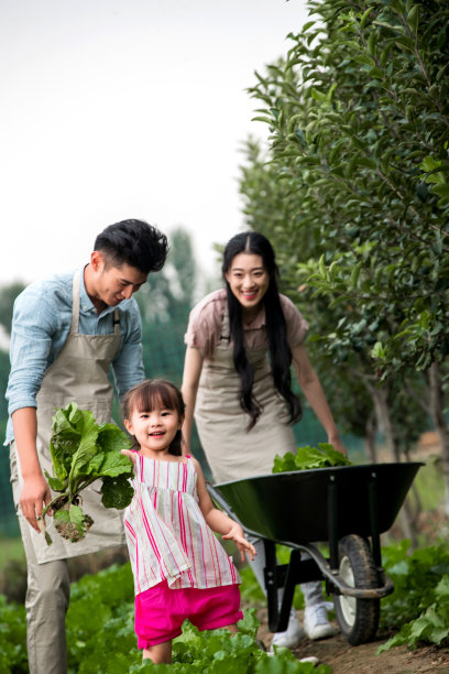 东方三口之家采摘蔬菜图片下载