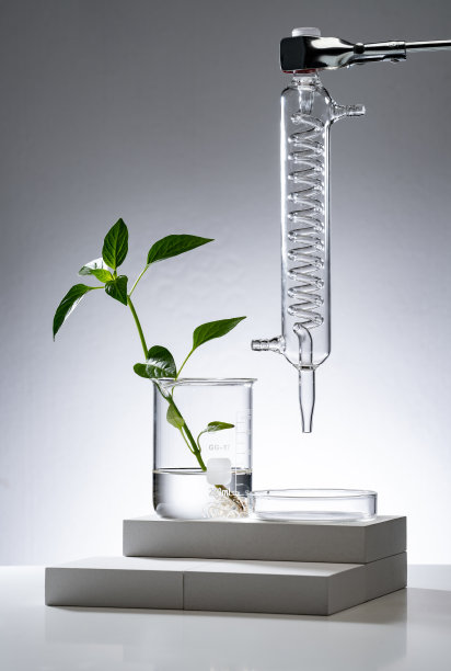 实验室里的玻璃器皿图片下载