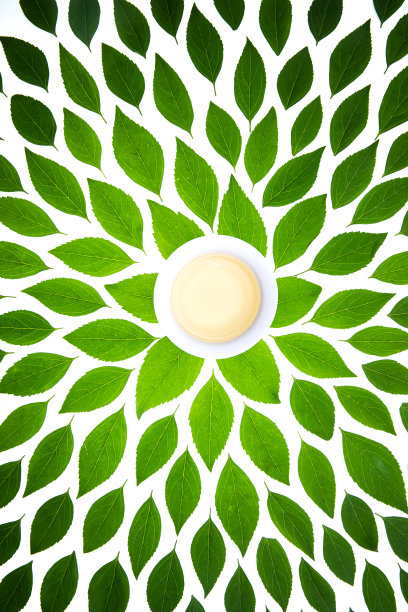 绿色的茶叶和茶杯图片下载