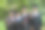 户外穿着学士服的大学生们图片下载