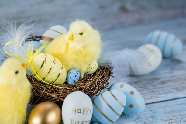 蓝色、黄色、白色的蛋在鸟巢里，黄色的小鸡在蓝色的木质背景上。最小的概念。复活节卡片，上面有文字的地方。图片下载