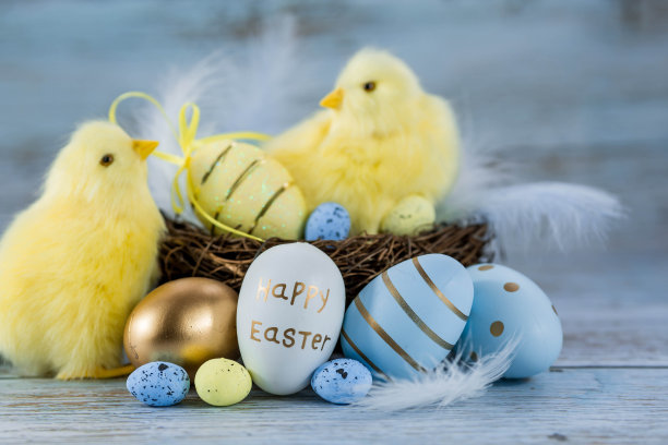 蓝色、黄色、白色的蛋在鸟巢里，黄色的小鸡在蓝色的木质背景上。最小的概念。复活节卡片，上面有文字的地方。图片下载