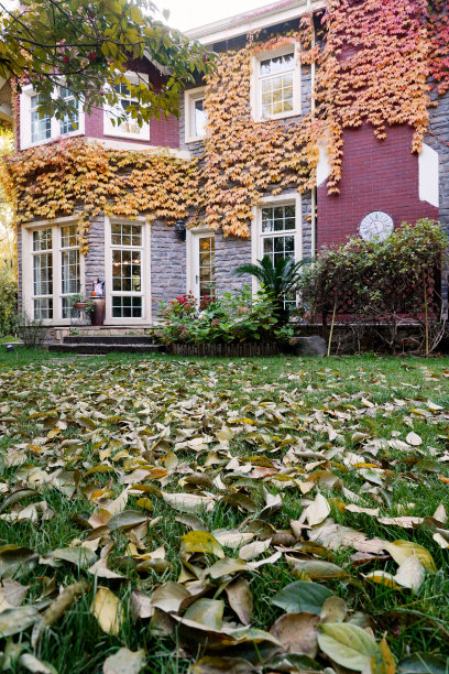 私家别墅的庭院图片下载