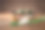 端午节照片素材ID：417184308