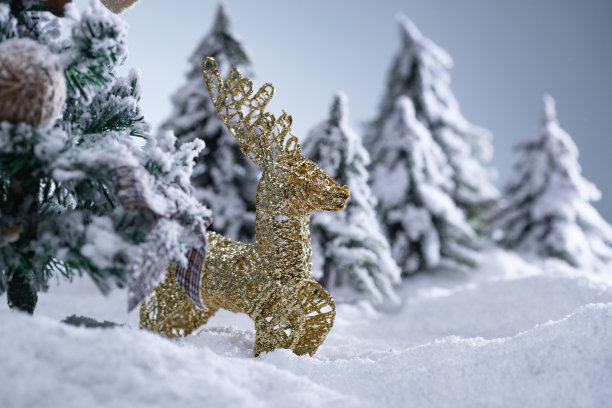 金色麋鹿图片下载