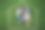 快乐的一家三口躺在草地上的房子轮廓里玩耍图片下载