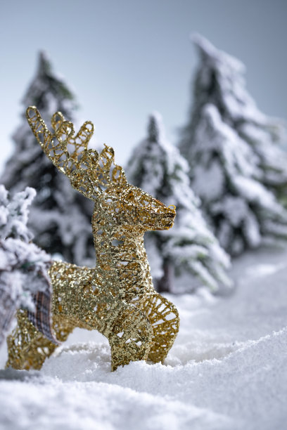 金色麋鹿图片下载