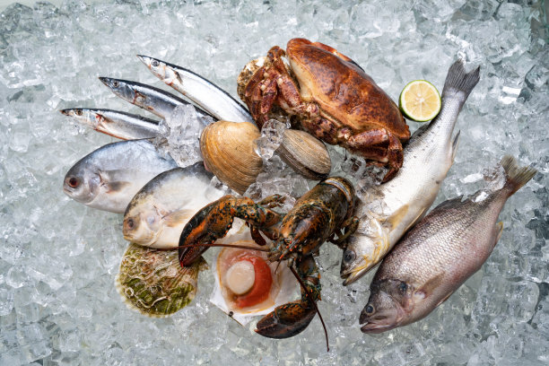 海鲜图片下载