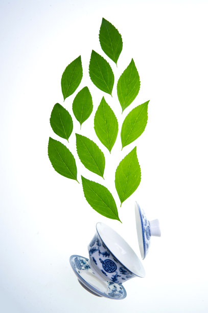 绿色的茶叶和茶杯图片下载