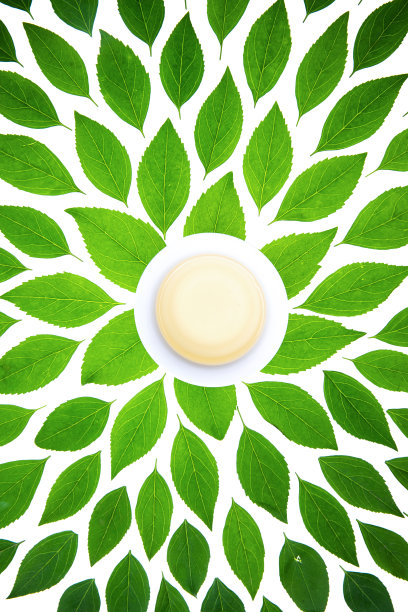 绿色的茶叶和茶杯图片下载