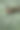 端午节照片素材ID：417189666