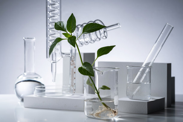 实验室里的玻璃器皿图片下载