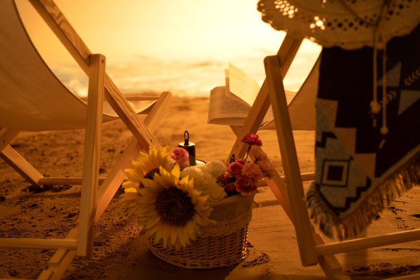 沙滩静物图片下载