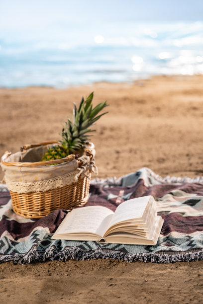 沙滩静物图片下载