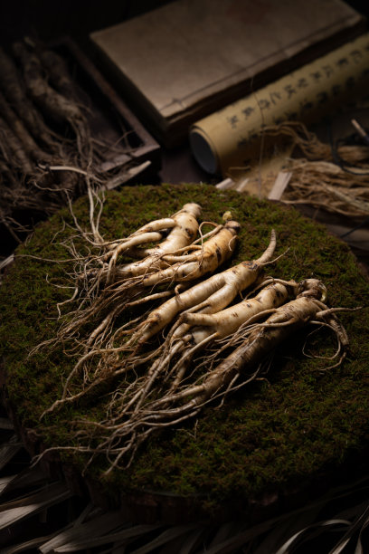 中草药图片下载