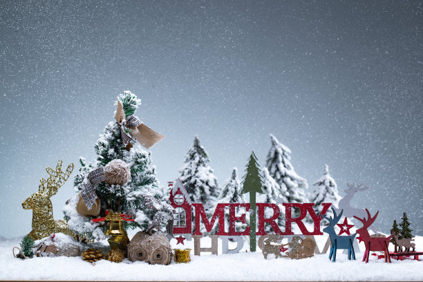 圣诞静物图片下载