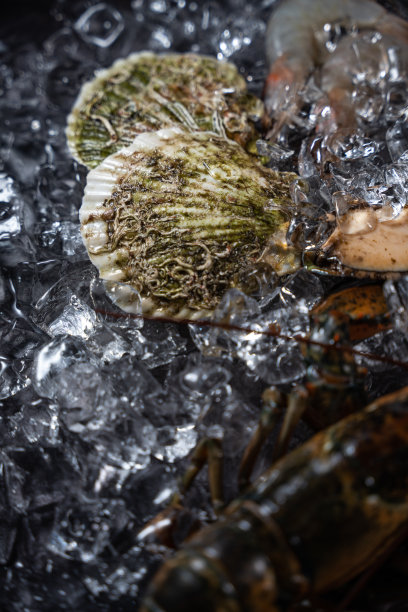 海鲜图片下载