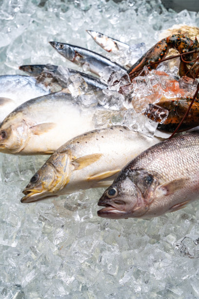 海鲜图片下载