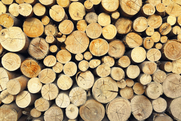 环境与森林砍伐——砍伐树木，用锯成棕色的原木堆叠成木质背景图片下载