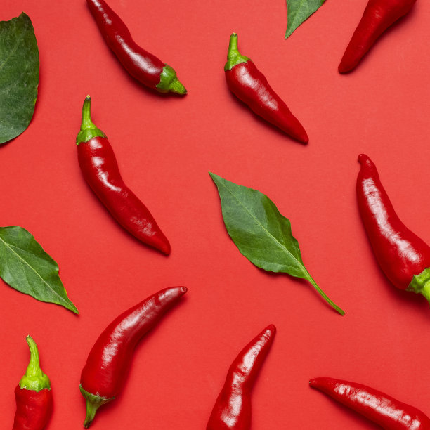 辣椒的背景。热的红色和绿色的新鲜辣椒在红色的背景平躺顶视图。菜肴调味料，烹饪用辛辣香料，辣椒，食物。创意布局，辣椒图案图片下载