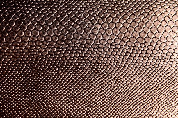 光泽的人造皮革纹理下的棕色蛇图片下载