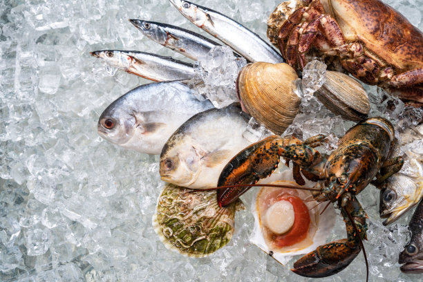 海鲜图片下载