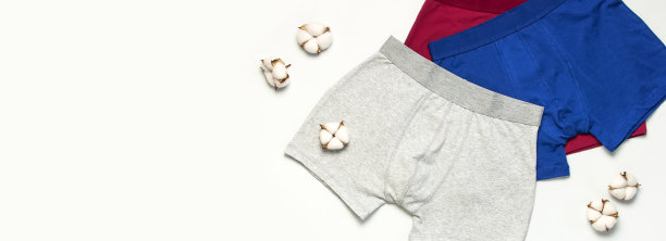 男士内裤，套多色内裤和棉花在白色背景平躺顶视图复制空间。时尚博客，天然内衣，广告，购物理念。裤子拳击手图片下载