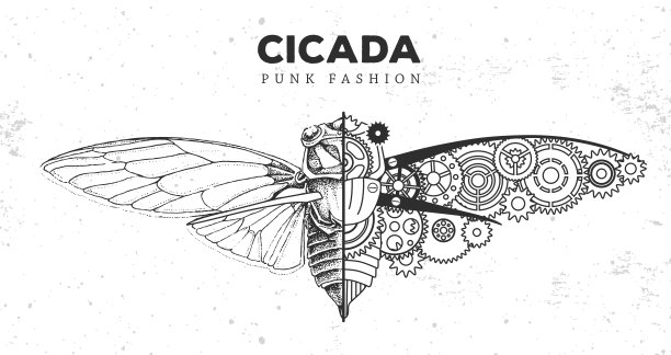 现实主义和朋克风格的蝉插画。蝉廓齿轮。矢量图图片下载