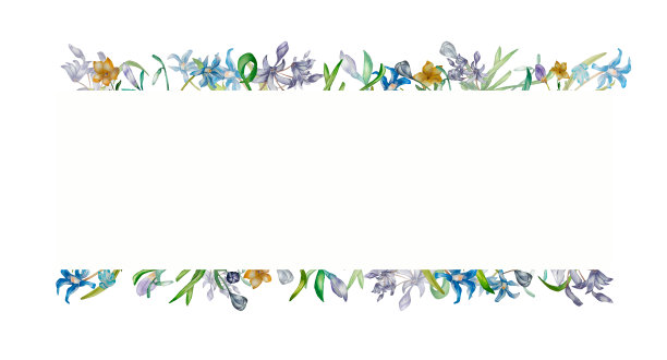 紫色，蓝色，黄色的春天花朵水彩插图上白色图片下载