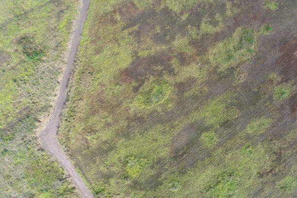 鸟瞰夏季田野草原图片下载