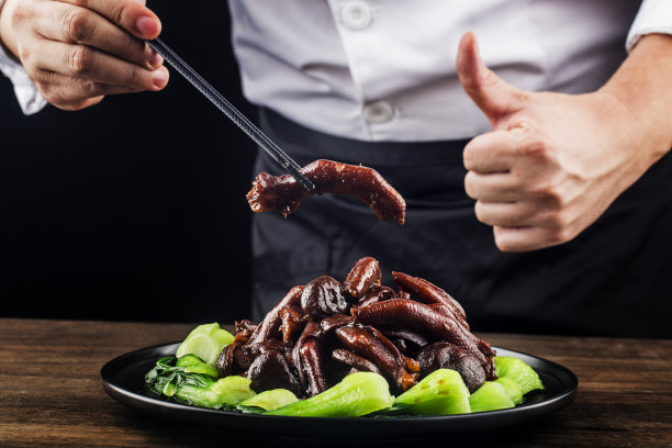 中式美食：一份卤鹅掌图片下载