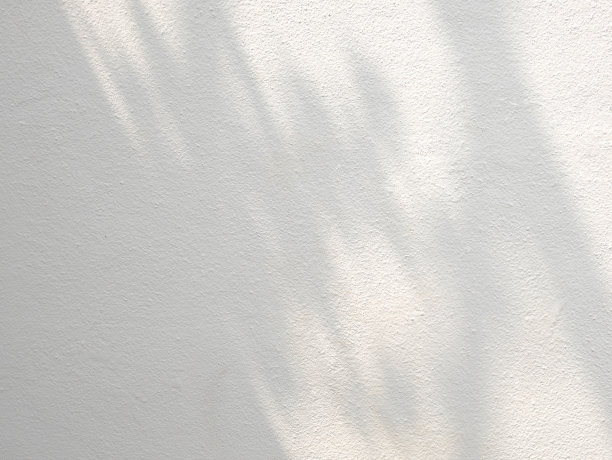 树叶在混凝土墙背景上的抽象阴影图片下载