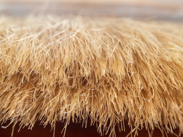 画笔的毛发纹理的微距照片。图片下载